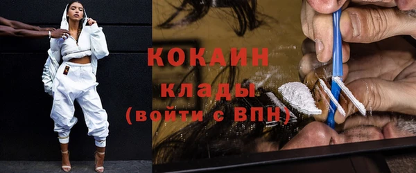 прущие грибы Касимов