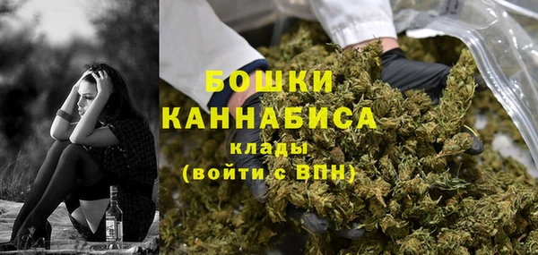 прущие грибы Касимов