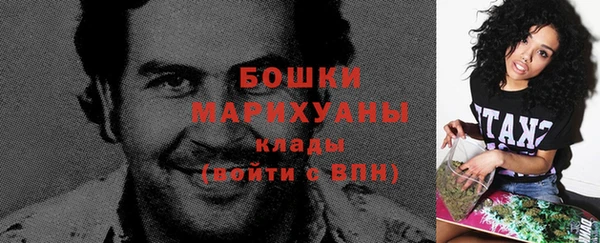 прущие грибы Касимов