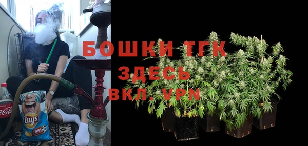 прущие грибы Касимов