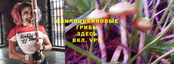 прущие грибы Касимов