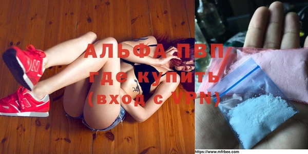 прущие грибы Касимов
