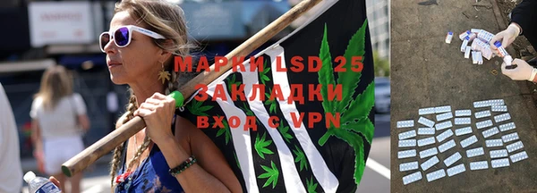 прущие грибы Касимов